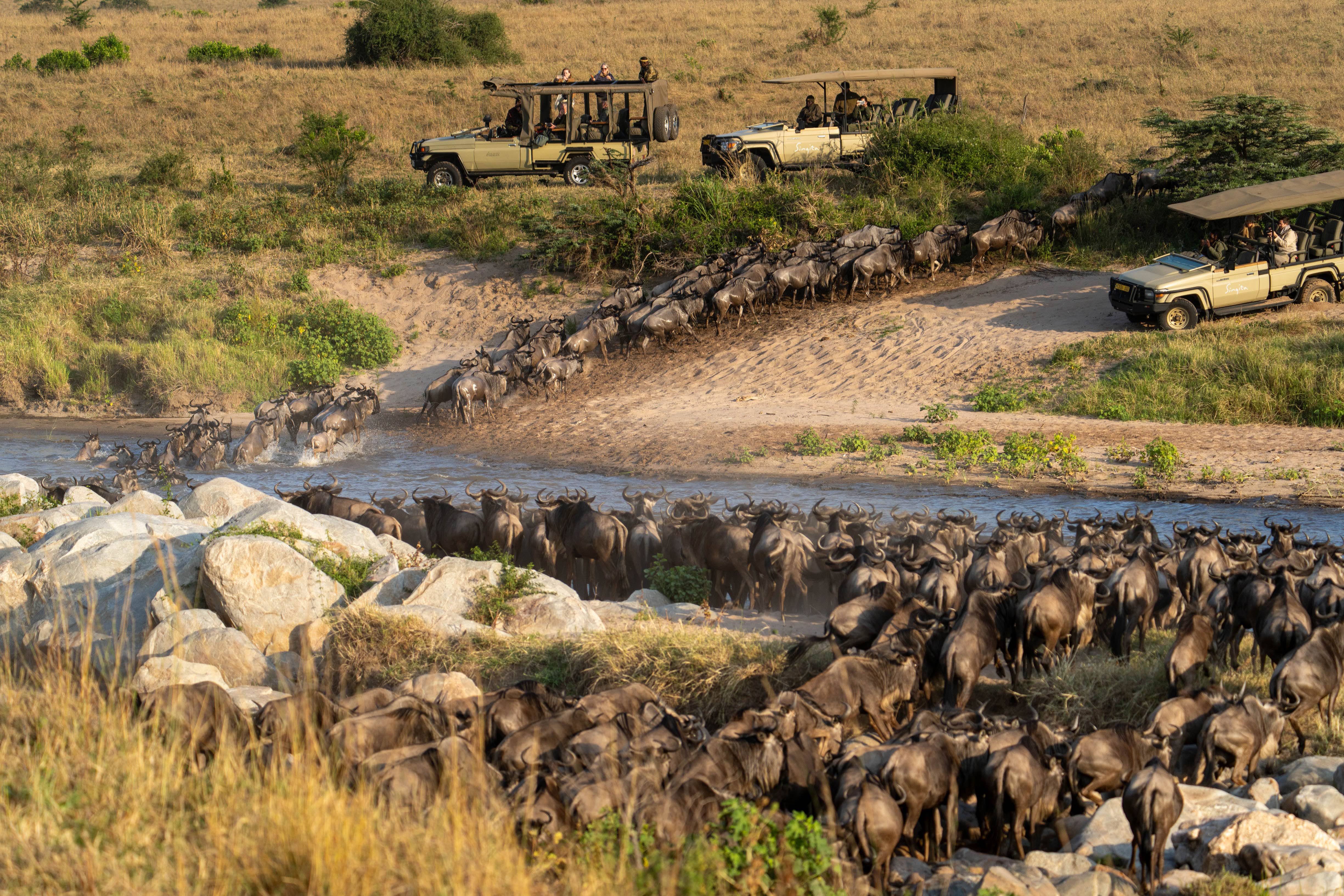 The great migration