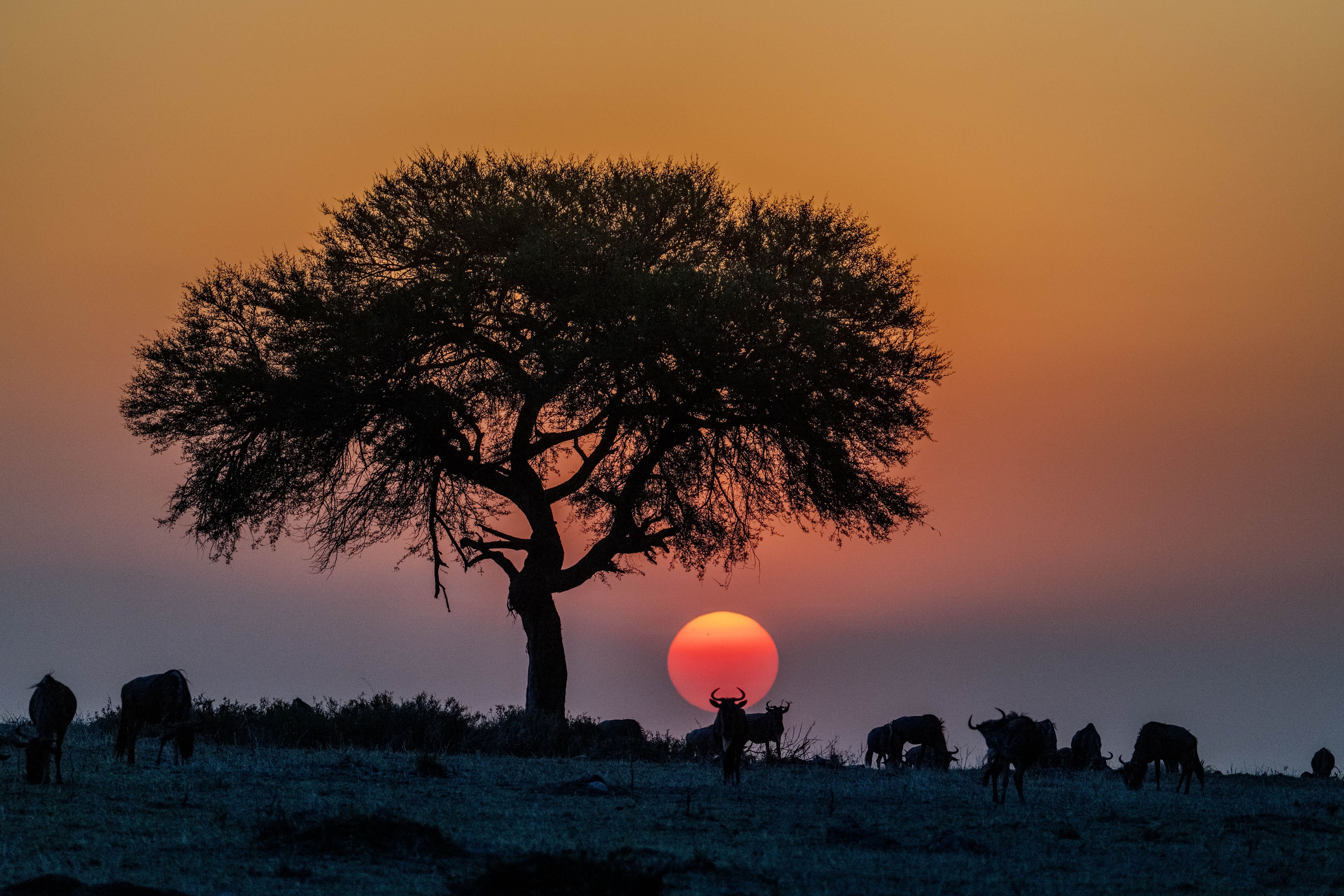 A setting sun