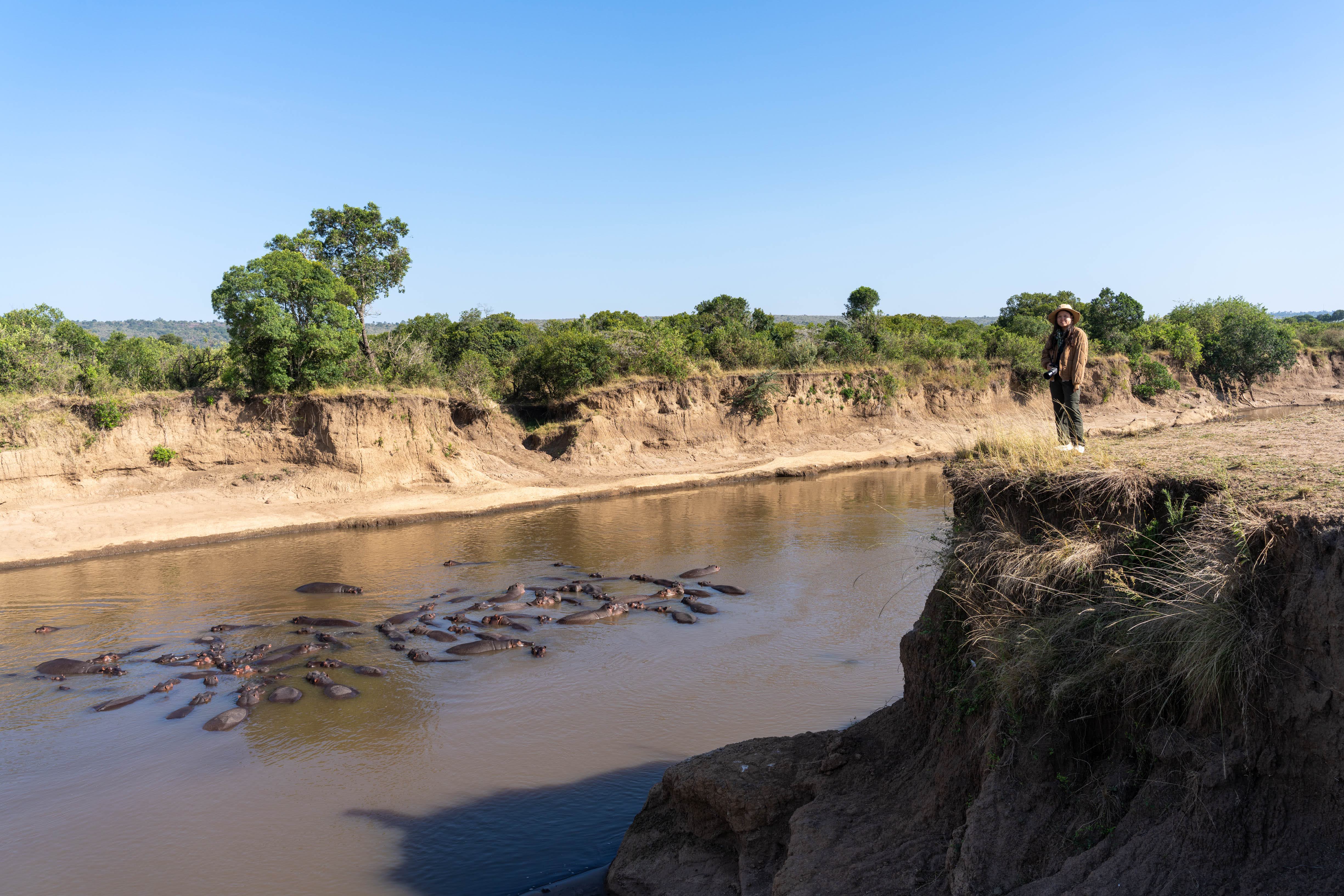 Hippos