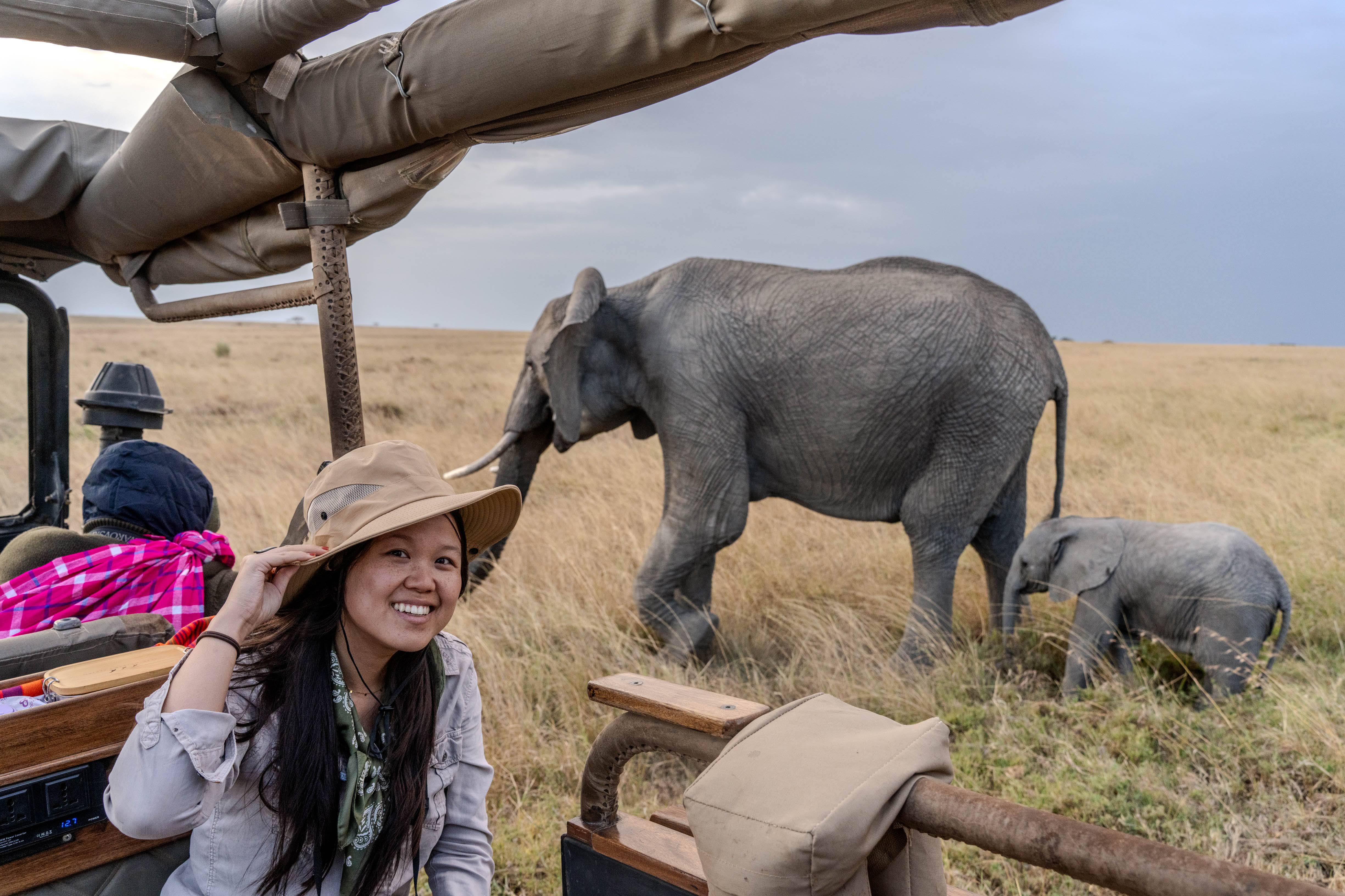 Elephants next to our land cruiser